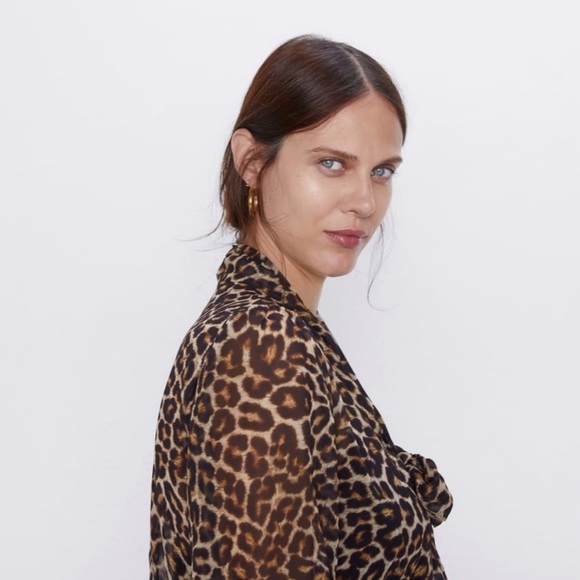 NWT Spring Summer Zara animal print dress size S - Picture 2 of 16